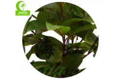 China Factory Handmade Hot Selling Popular Artificial Zebra Plant With Pot supplier