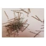Cold Drawn Micro Steel Fiber 304 Stainless Waved For Segment for sale