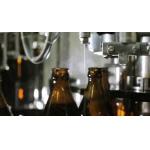 Glass Bottle Beer Filling Machine 3 In 1 Mono-Block With Rotary Rinser