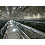 H Type Broiler Baby Chick Cage 1480mmx1750mmx440mm for sale