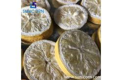 China Powerful Commercial Lyophilizer 100sqm 1000kg Input Capactiy Easy Cleaning supplier