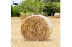 China Anti UV Round Bale Net Wrap 1.5X3000m Silage Bale Netting White supplier