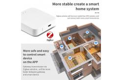 China Wired Networking Smart Home Gateway Bluetooth Zigbee 3.0 Tuya Zigbee Gateway supplier