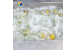 China Air Brush Cleansing Citrus Processing Line ,  Anti Abrasion Sullage Removal Potato Processing Line supplier