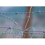 Farm Protection Double Twisted PVC Coated /Galvanized Barbed Wire Coils for sale