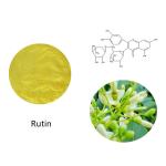China Plant Extract Sophora Japonica Extract EP Quercetin Powder for sale
