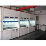 Practical Rustproof Fume Hood Cupboard , Anti Corrosion Laboratory Exhaust Hood for sale