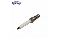 China Jenbacher 420 Generator R10P3 Industrial Spark Plug supplier