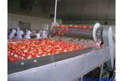 China Strong Flat Top Chain Conveyor Sanitary Bucket / Belt For Bulk Handling supplier