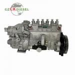 Fuel Injection Pump 101605-810A 400912-00069 for DB58 Engine