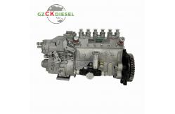 China Fuel Injection Pump 101605-810A 400912-00069 for DB58 Engine supplier