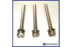 China 200mm Hex Extra Long Machine Screws SS302 Material DIN571 DIN964 supplier
