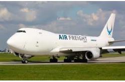 China China To Toronto Canada DDP FBA Freight Forwarder supplier