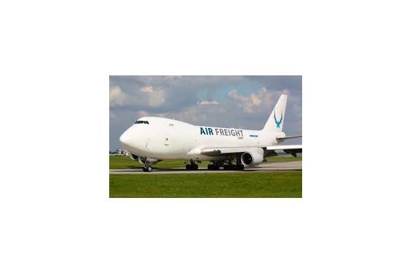 China To Toronto Canada DDP FBA Freight Forwarder