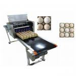 Smart Egg Industrial Inkjet Printing Machines Can Print 120000 Eggs With Six Ink for sale