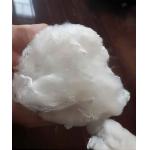 Low Melt PET Polyester Fibre Custom Odorless Abrasion Resistant for sale