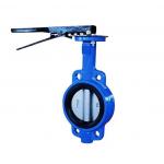 Antistatic Manual Wafer Butterfly Valve Dn150 Pn10/16 Industrial Control Valves for sale