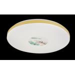 Replaceable Ceiling Mounted LED Lights Adjustable Indoor 40W High Brightness