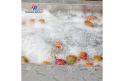 China 2025 Silver Fruit And Vegetable Processing Line for Processing supplier