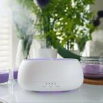 HOMEFISH Drop Shipping Electric Mini Humidifier Ultrasonic Aroma Humidifier Remote Controller