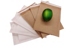 China Eco-friendly Papar Pulp Padded Kraft Envelopes Compostable Kraft Mailing Mailers supplier