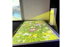 China Portable Digital Light 3d Projection Mapping Mobile Interactive Floor Projector supplier