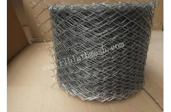 China 480/M2 Weight 20cm Width 18m Length Brick Wall Mesh supplier