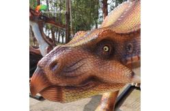 China Resin Protoceratops Large Fiberglass Animal Statues Dinosaur Smooth Surface supplier