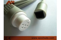China B.Braun Medex IBP Transducer Cable Ibp Mindray Utah BD Argon supplier