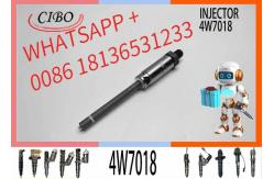 China Black 4W-7018 4W-7015 4W7018  Fuel Injectors Valve supplier