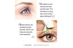 China GMP Eyelash Growth Serum Waterproof Long Lasting Eyelash Extension Glue supplier