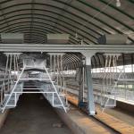 A Type 43*41 cm Full Automatic Battery Cage System for sale