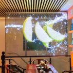 GS7.8 15.6R55T Grille Transparent LED Display Screen Wan 266*250 for sale