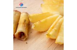 China Guava Fixed Material Socket Fruit And Vegetable Peeler Machine Electric 304 SS Apple supplier