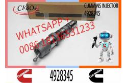 China Injector Nozzle Assembly 4928345 4087886 4010029 4001830 QSK19 QSK23 QSK60 Engine Series supplier