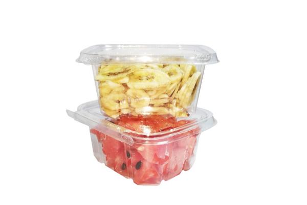 China Supplier Tamper-Resistant Clear Hinged Container with Flat Lid