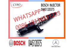 China Diesel Injector 0445120374 0445120375 4700700287 A4700700287 0445120374 0445120375 0445120298 0445120299 supplier