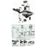Halogen Lamp 40X Inverted Optical Microscope Infinity Plan A14.1021