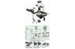 China Halogen Lamp 40X Inverted Optical Microscope Infinity Plan A14.1021 supplier