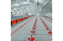 China Duck Broiler 100% PP UV Poultry Slat Flooring supplier