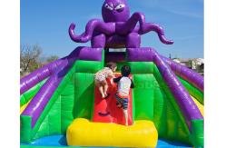 China Octopus Jumping Bouncer Inflatable Bounce House With Water Slides supplier