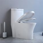 10 Inch Rough In One Piece Elongated Toilet S Trap Floor Mounted Wc Siphonic for sale
