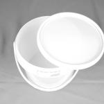 Customizable Plastic Storage Bucket with CAS/FDA/SGS/ISO9001 Certificates
