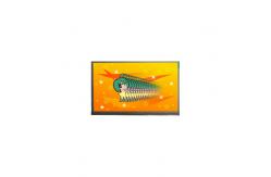 China in stock 1366*768 11.6 inch N116BCE-EB1 262K LCD Screen supplier
