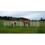 Back Yard Garden Animal Husbandry Iron Temporary Corral Fencing for sale