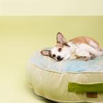 Xl Summer Ice Silk Dog Cooling Mat Removable Washable Dog Bed Cushion for sale