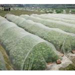 Insect Proof Nylon Garden Netting Customized Bird Netting For Vegetable Garden for sale