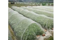 China Insect Proof Nylon Garden Netting Customized Bird Netting For Vegetable Garden supplier