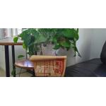 Cast 4x8Ft Plexiglass Clear Acrylic Sheet Impact Resistance for sale