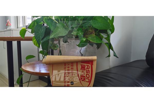 Cast 4x8Ft Plexiglass Clear Acrylic Sheet Impact Resistance